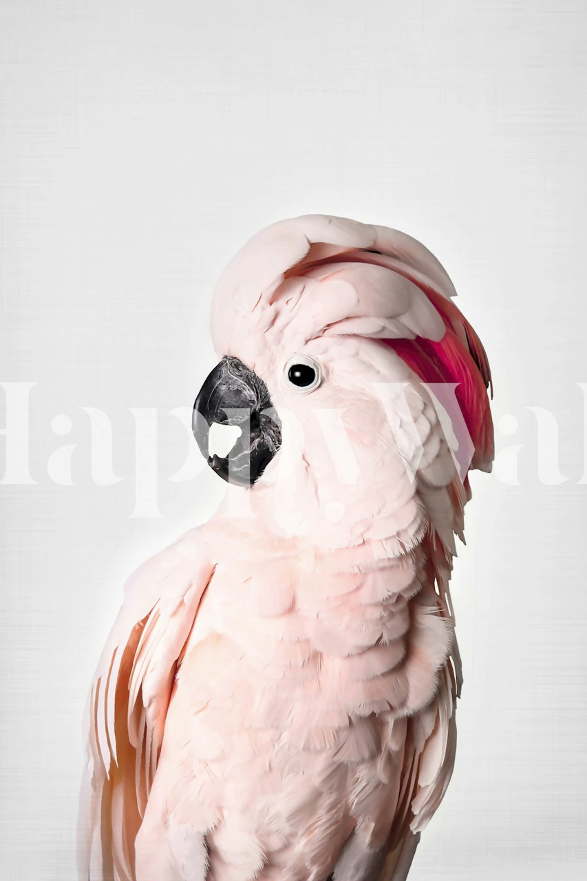 Pink cockatoo bird with a vibrant feathered crest wallpaper