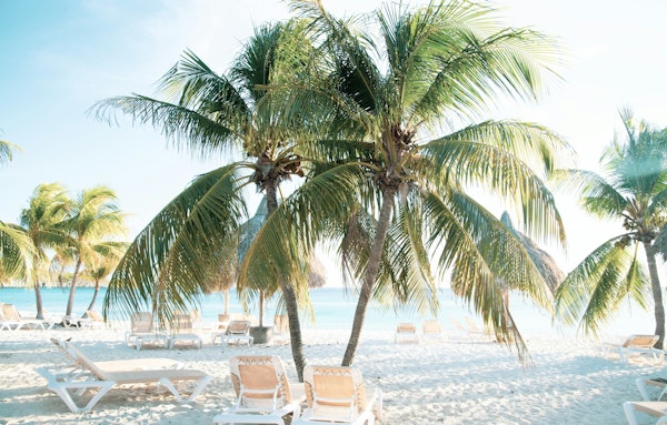 Caribbean Beach Bliss 7