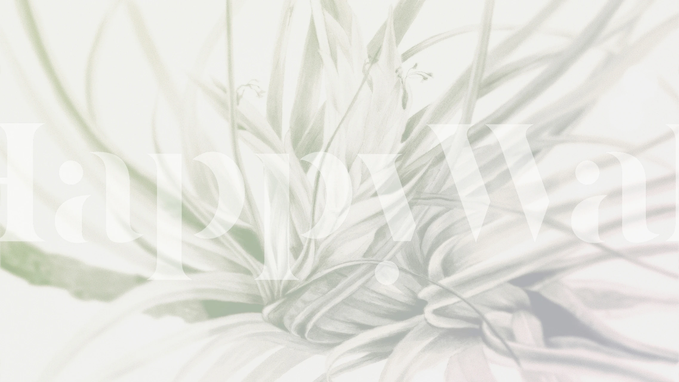 Ethereal Flora Essence wallpaper design in a room