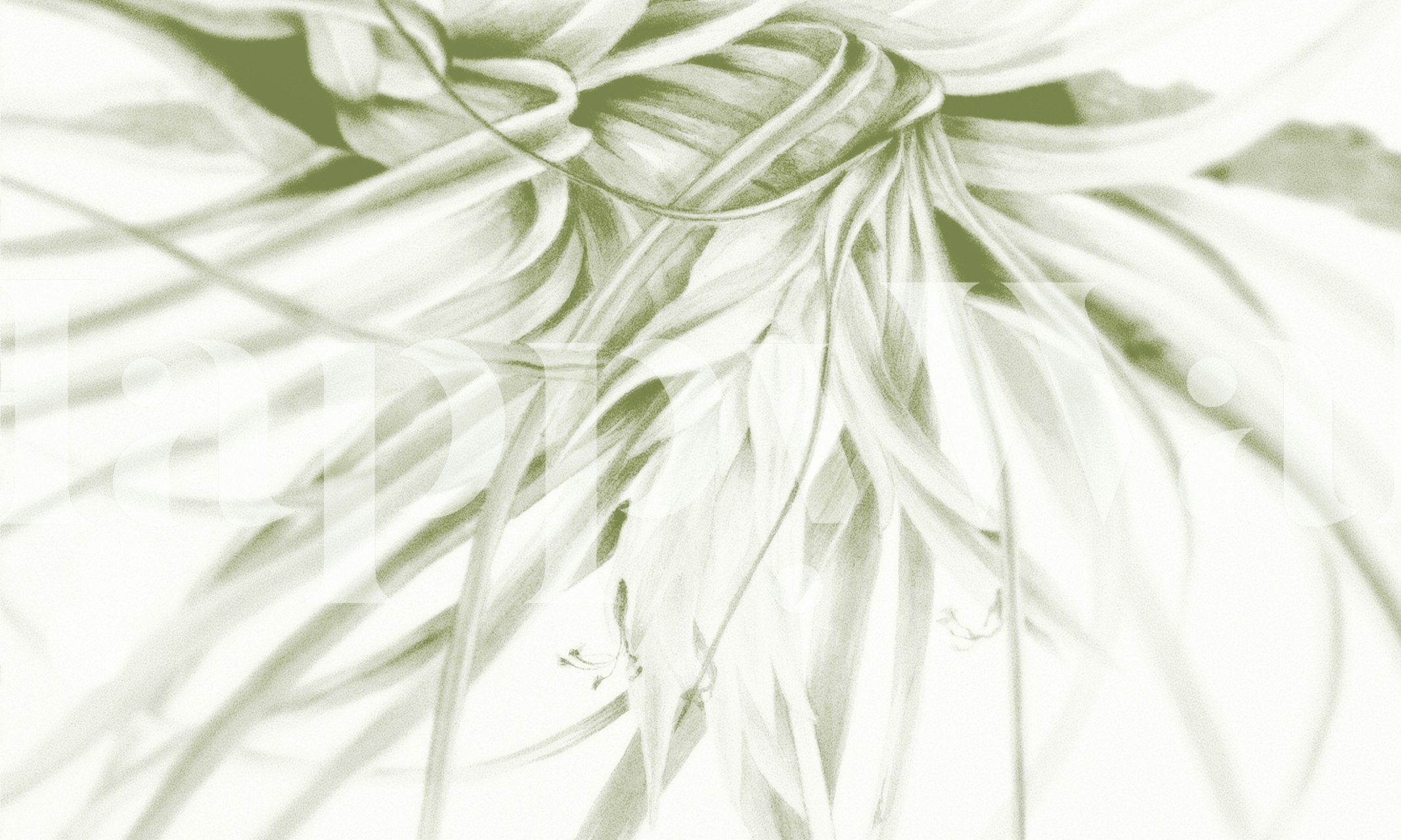 Botanical leaves design in green tones wallpaper